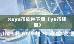 如何通过TPWallet将BNB转入币